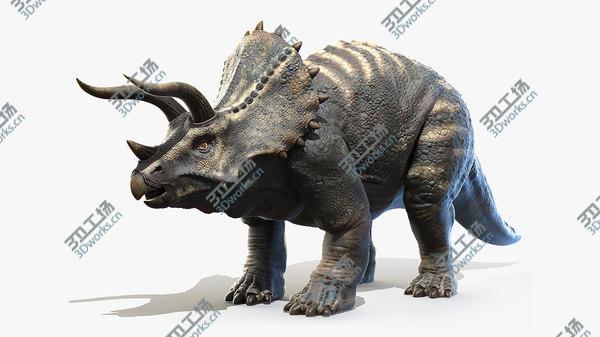 images/goods_img/20210312/3D Triceratops/1.jpg